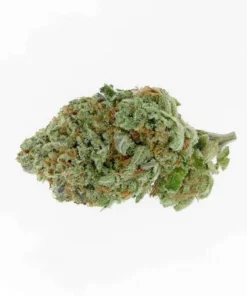 Alien OG Weed online kaufen