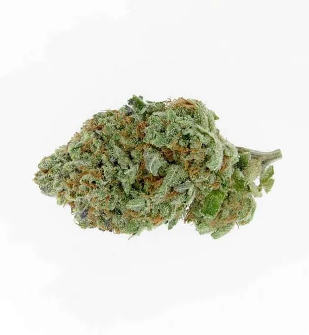 Alien OG Weed online kaufen