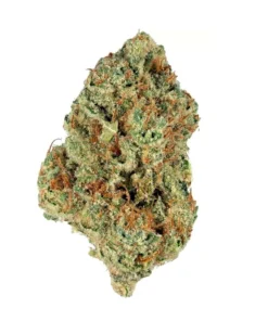 Bio Jesus Strain in Deutschland