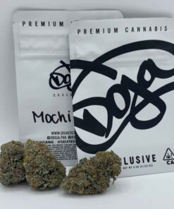 Doja Exclusive kaufen | Mochi in Deutschland