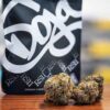 Doja Rs11 Cannabis in Deutschland kaufen